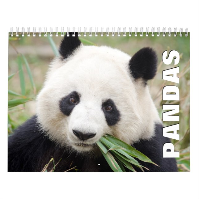 Calendario de pared de Pandas (Tapa)