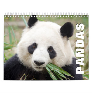 Calendario de pared de Pandas 2022
