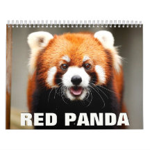 Calendario de pared de Pandas Rojos