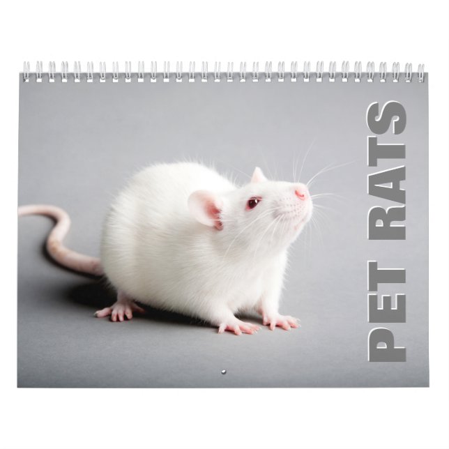 Calendario de pared de ratas mascotas (Tapa)