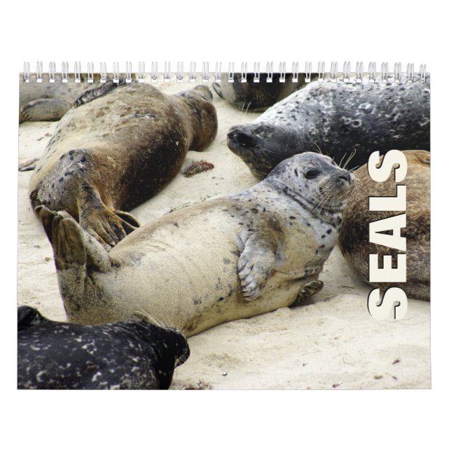 Calendario de pared de sellos (Tapa)