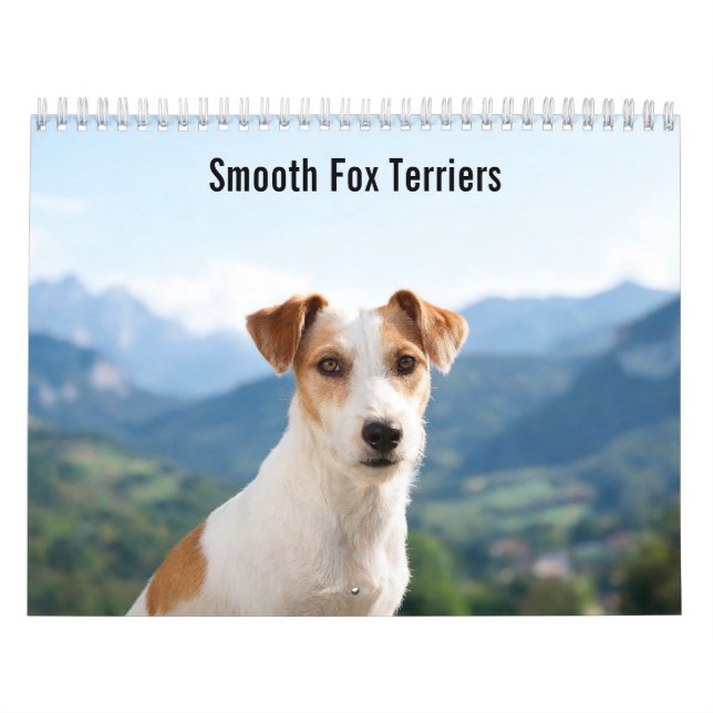 Calendario de pared de Smooth Fox Terriers 2027 (Tapa)