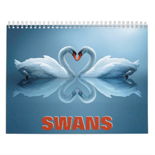 Calendario de Pared de Swans
