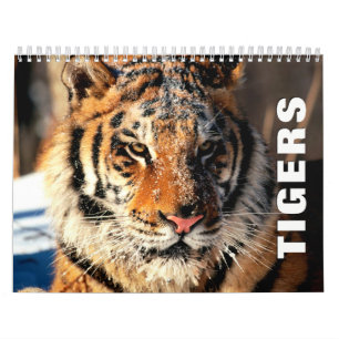 Calendario de pared de tigres