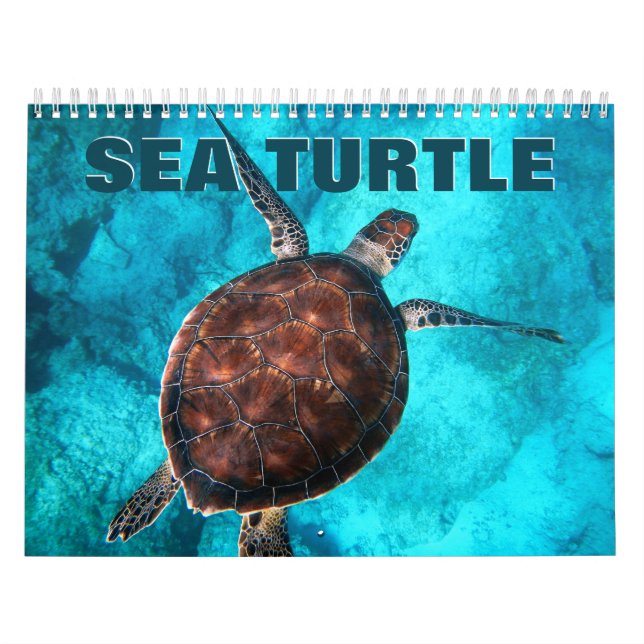 Calendario de pared de tortugas marinas (Tapa)