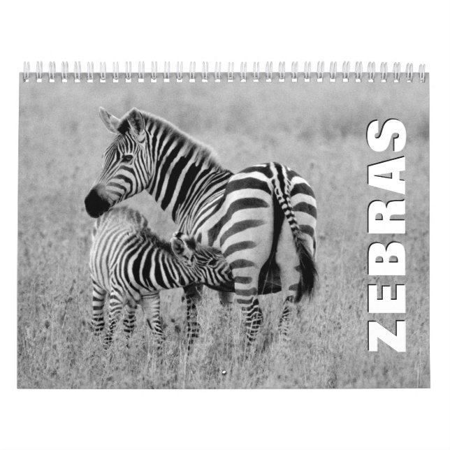 Calendario de pared de Zebras (Tapa)