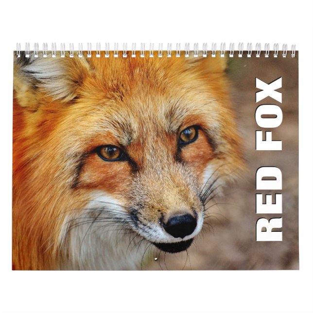 Calendario de pared de zorros rojos (Tapa)