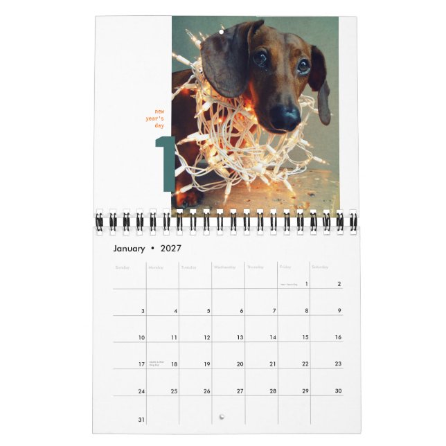 calendario de pared del dachshund 2012 - chumley (Jan 2027)