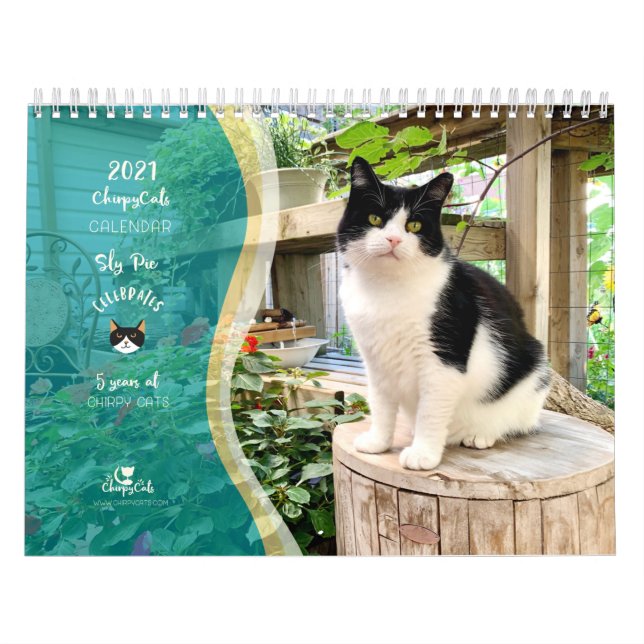 Calendario de pared del gato 2021, vida de Sly Pie (Tapa)