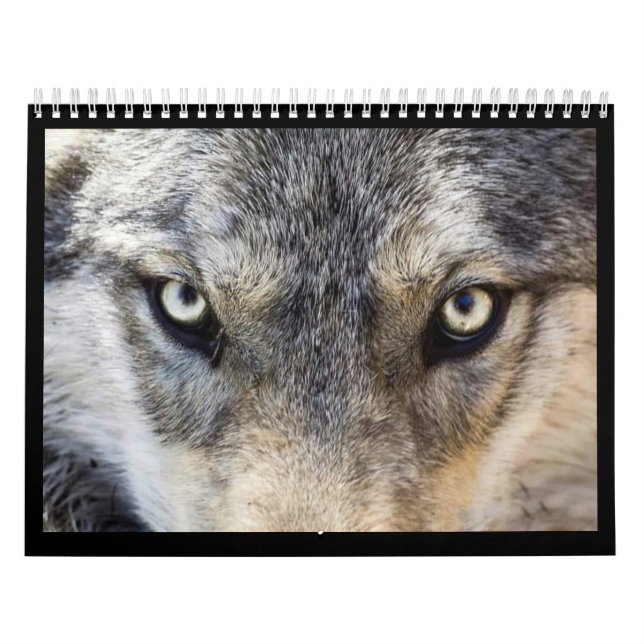 Calendario de pared del lobo (Tapa)
