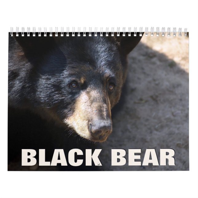 Calendario de pared del oso negro (Tapa)