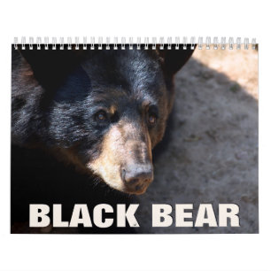 Calendario de pared del oso negro 2022