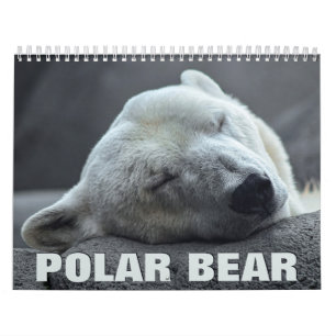 Calendario de pared del oso polar 2022
