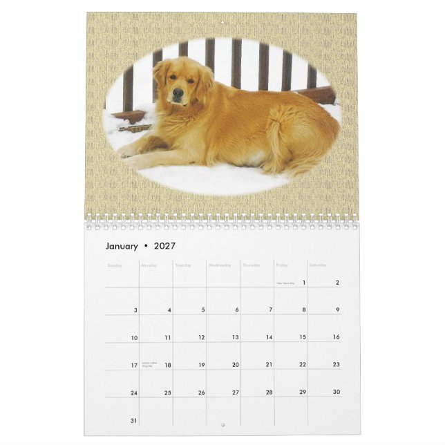 Calendario de pared del perrito del golden (Jan 2027)