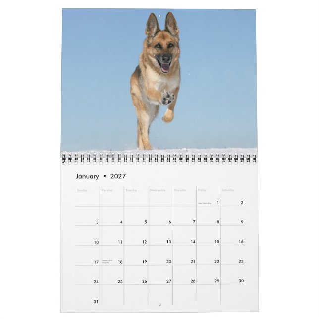 Calendario de pared del perro de pastor alemán (Jan 2027)