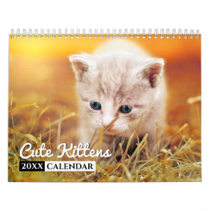 Calendario de pared fotográfica de Cute Kittens 2