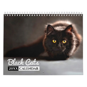 Calendario de pared fotográfica de gatos negros 2