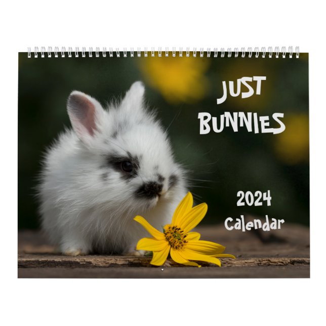 Calendario de pared grande de 2024 Bunnies (Tapa)