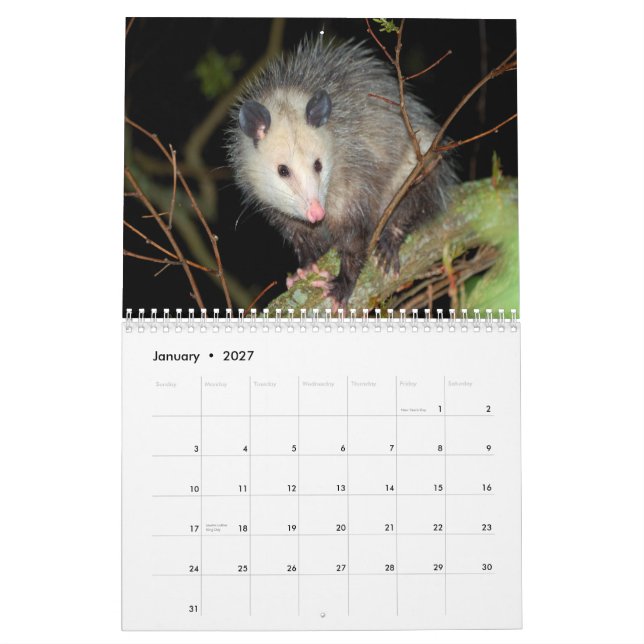 Calendario de pared impresionante del oposum (Jan 2027)