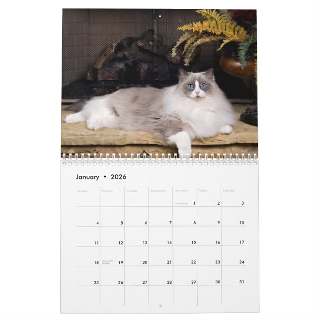 Calendario de pared increíble de Ragdolls (Jan 2026)