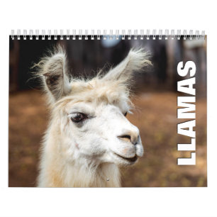 Calendario de pared Llamas 2022