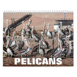 Calendario de pared Pelicans 2022