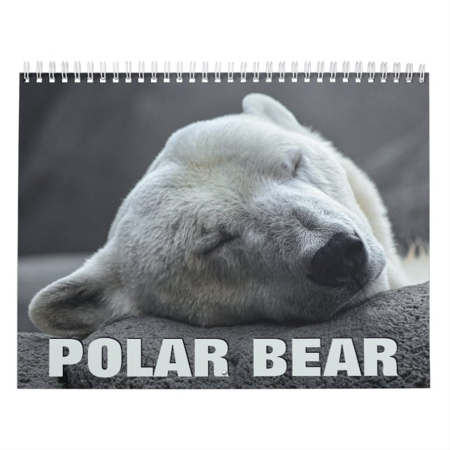 Calendario de pared polar del oso (Tapa)