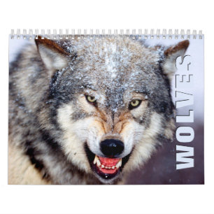 Calendario de pared Wolves 2022