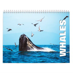 Calendario de Paredes de Ballenas 2022