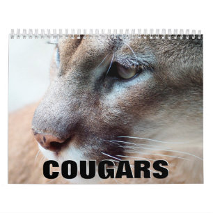 Calendario de Paredes de Cougars 2022