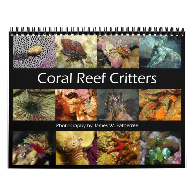 Calendario de paredes de cristales de arrecifes, d (Tapa)