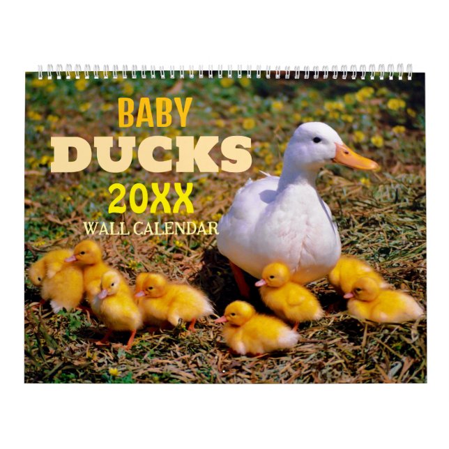 Calendario de paredes de Cute Baby Ducks 2025 (Tapa)