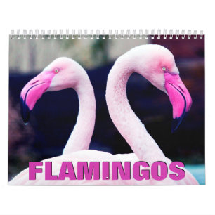 Calendario de paredes de flamencos rosados 2022