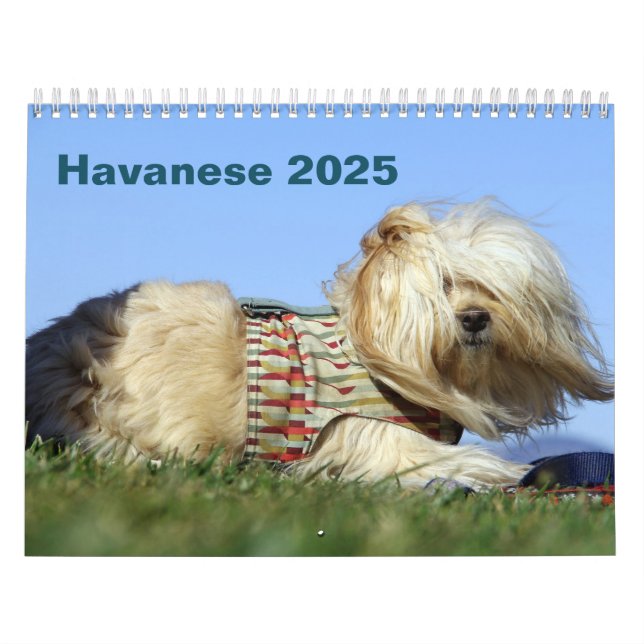 Calendario de Paredes de La Habana 2025 (Tapa)