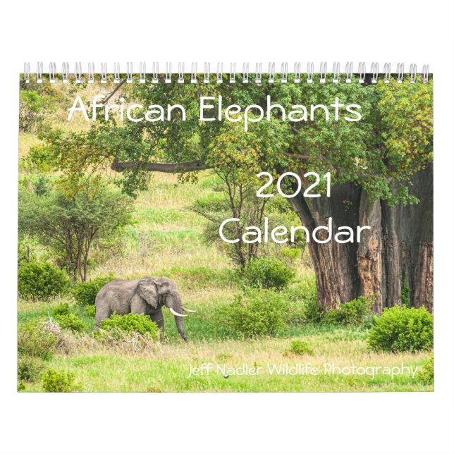Calendario de paredes de los elefantes africanos 2 (Tapa)