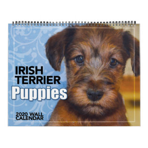 Calendario de paredes de los pastores irlandeses T