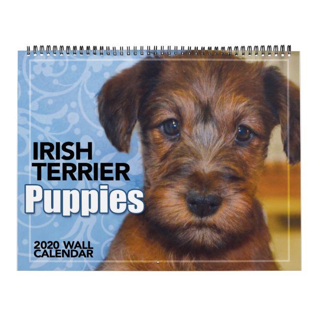 Calendario de paredes de los pastores irlandeses T (Tapa)