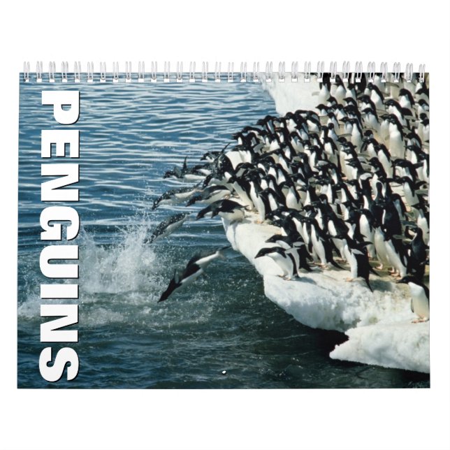 Calendario de paredes de los pingüinos (Tapa)
