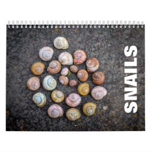 Calendario de paredes de Snails 2022