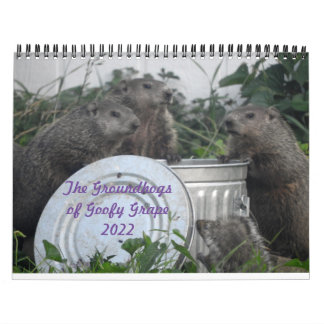 Calendario de Paredes fotográficas de Groundhog de