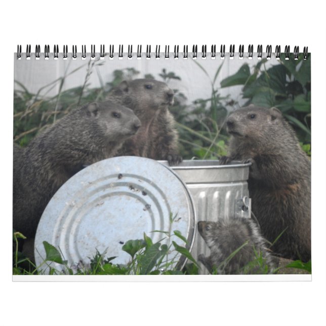Calendario de Paredes fotográficas de Groundhog de (Tapa)