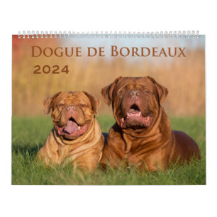 Calendario de paredes grandes de Dogue de Burdeos