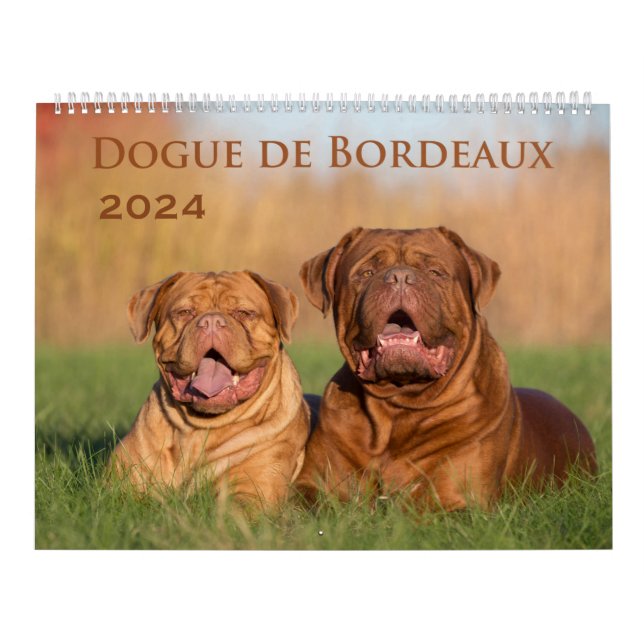 Calendario de paredes grandes de Dogue de Burdeos (Tapa)