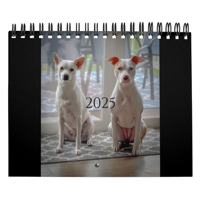 Calendario de pastelitos y batidos (Tapa)