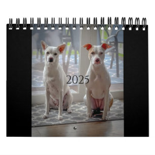 Calendario de pastelitos y batidos