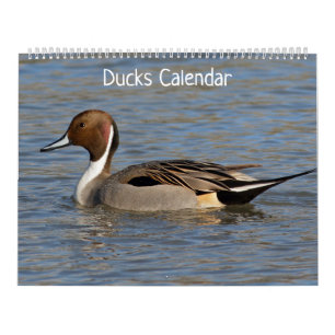 Calendario de patos