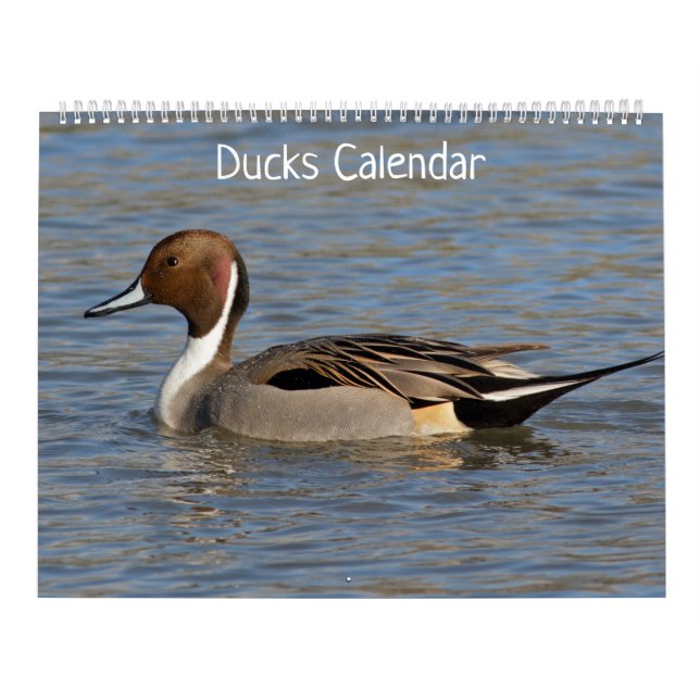 Calendario de patos (Tapa)