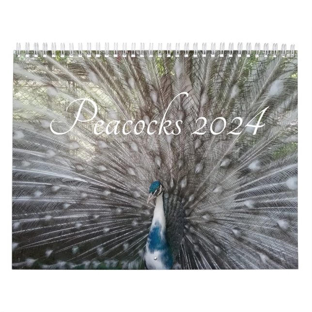 Calendario de pavos reales 2024 (Tapa)