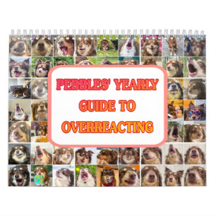 Calendario de Pebbles