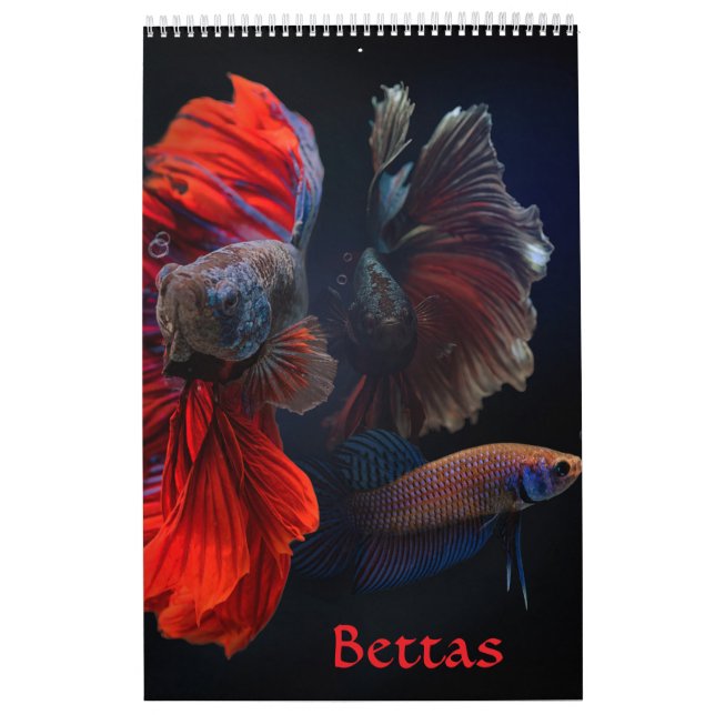 Calendario de peces Betta (Tapa)
